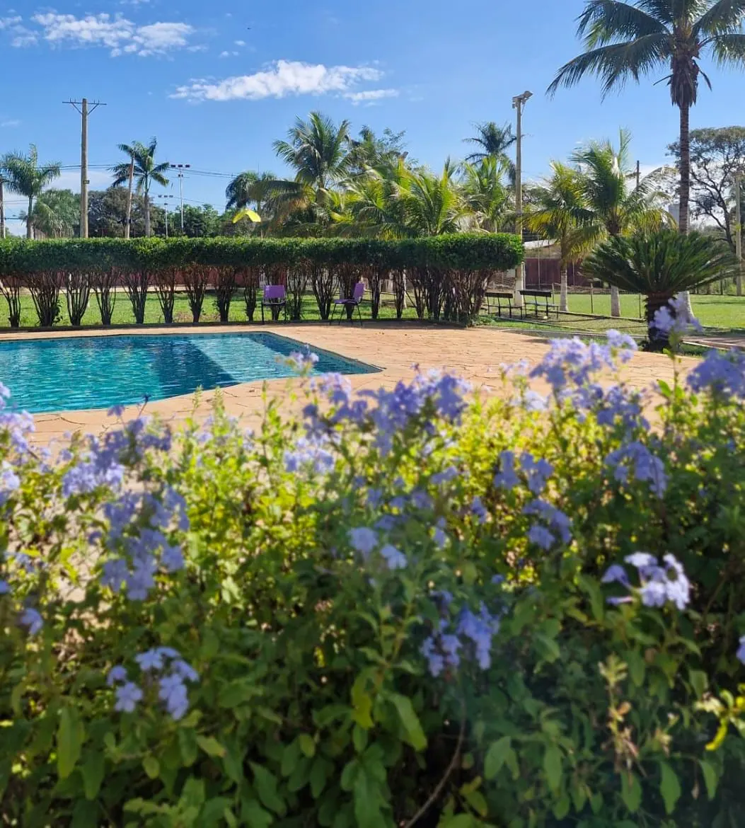 Piscina vista do jardim florido